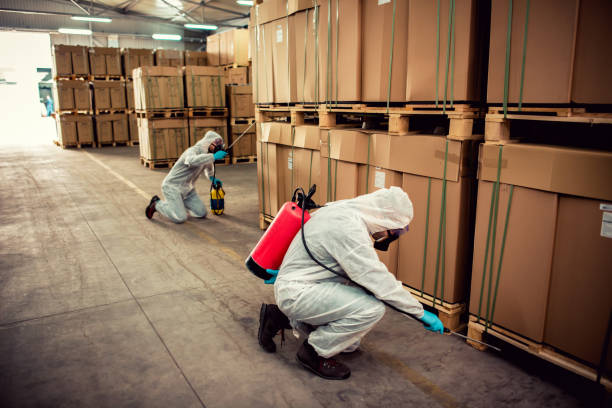 Best Best Pest Control Companies  in South Hill, NY