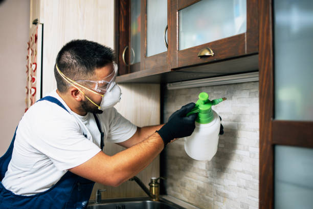 Best Pest Removal Services  in South Hill, NY