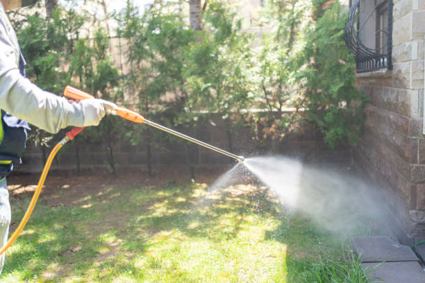 Best Best Pest Control Companies  in South Hill, NY